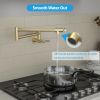 Traditional Wall Mount Stove Swing Arm Folding 2 Handles 360¬∞Rotation Dual Joints Pot Filler Kitchen Faucet with ABS Faucet Aerator